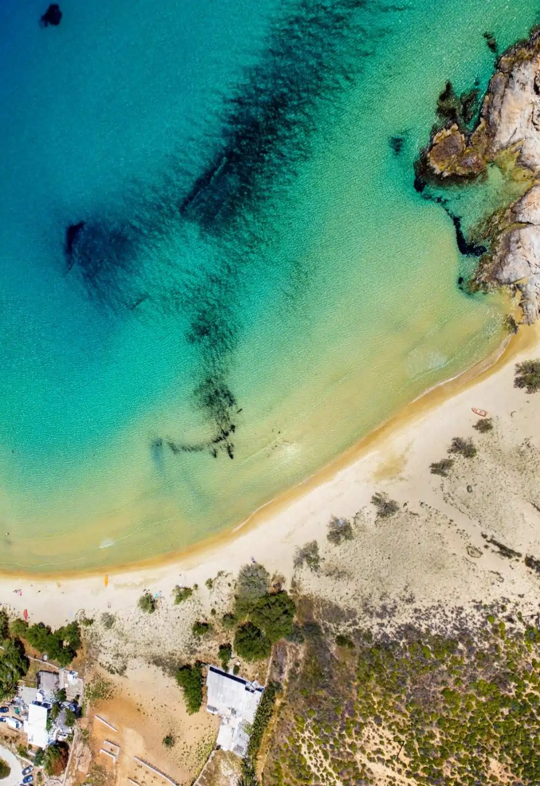 IMG-8cdaf9dc6af68eec9557bfcb5ba52c47-V